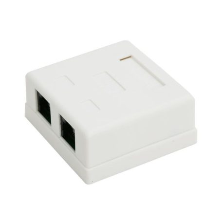 UTP RJ45 CAT5e fali aljzat - dupla