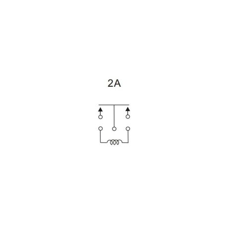 LR2A-12W 12V 10A 2x záró jelfogó -RAYEX